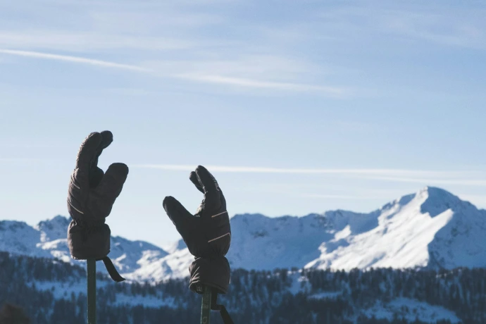 two gloves on stick